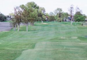 Tee box looks out into a rolling, tree-lined fairway.