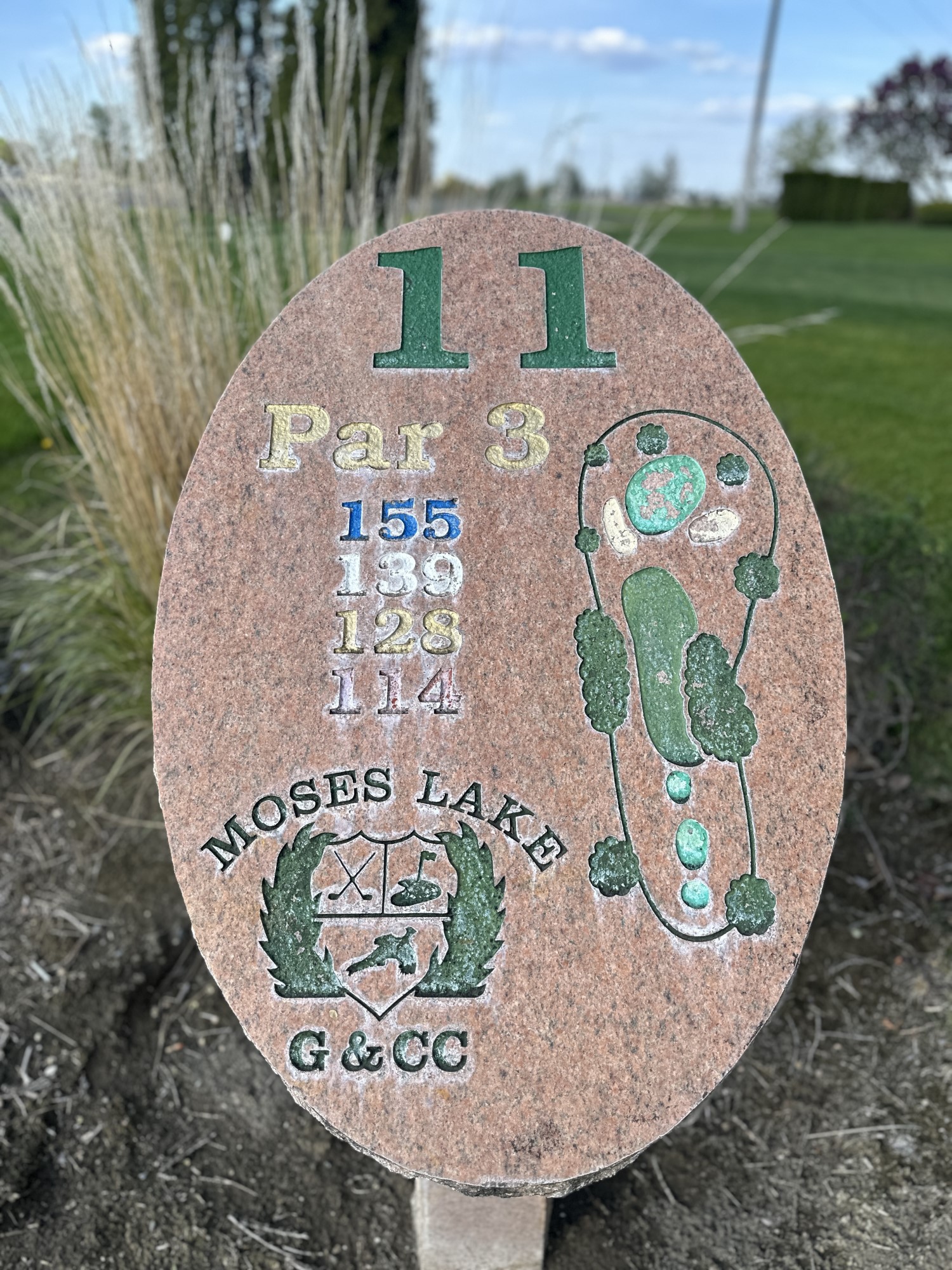 Hole 11 sign showing Par 3 at 155 yards.